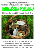 houbařská poradna houbařská poradna