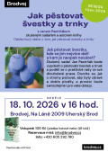 Jak pěstovat švestky Jak pěstovat švestky